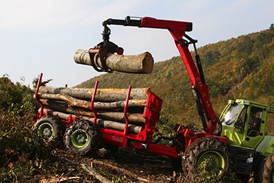 Tree Location Crane Rental In Houston